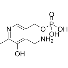 Buy Pyridoxal Phosphate